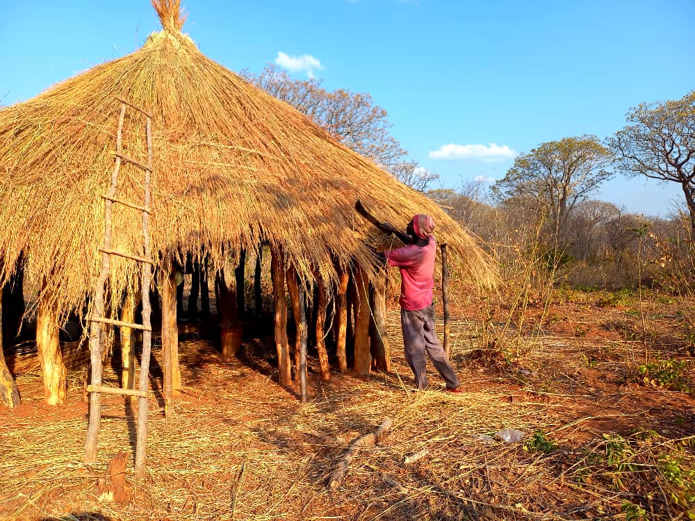  Building a traditional thatched enclosure at the Creatives Village to provide shelter (FTHO collaborating with Wayi Wayi Art Studio & Gallery (Livingstone, Zambia) on cultural exchange research project 1)