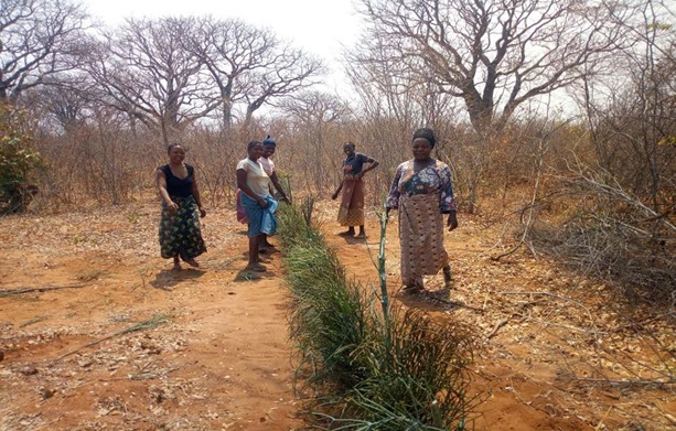 Planting a bio fence along the Creatives Villages land boundary to protect crops from cattle, goats and elephants, Livingstone, Zambia, August, 2020 (John Latham at 100: African Incidentalism 3)