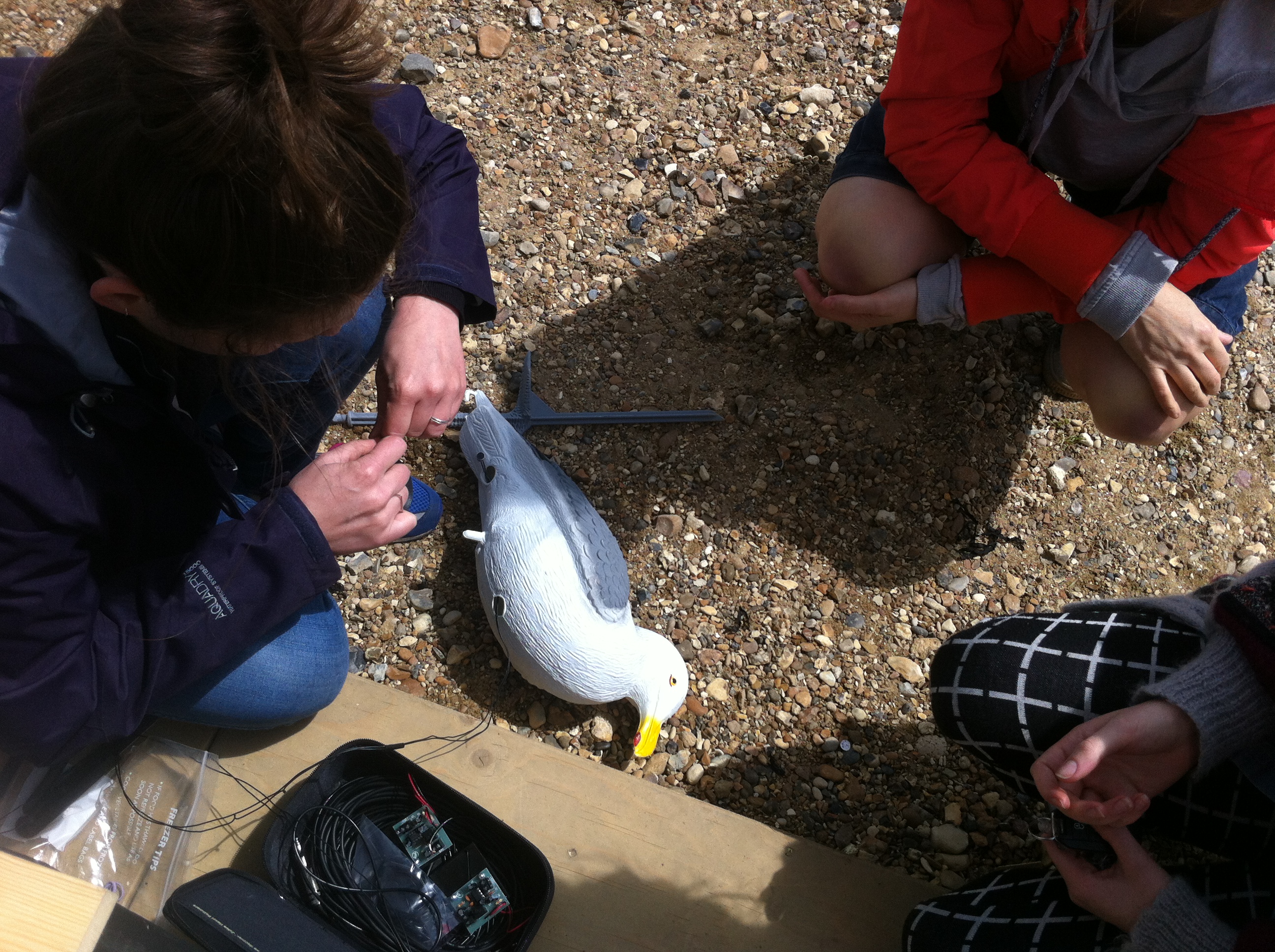 MFI Group 2013 at the Whitstable Biennale (MFI Graduate Award 2014 0)