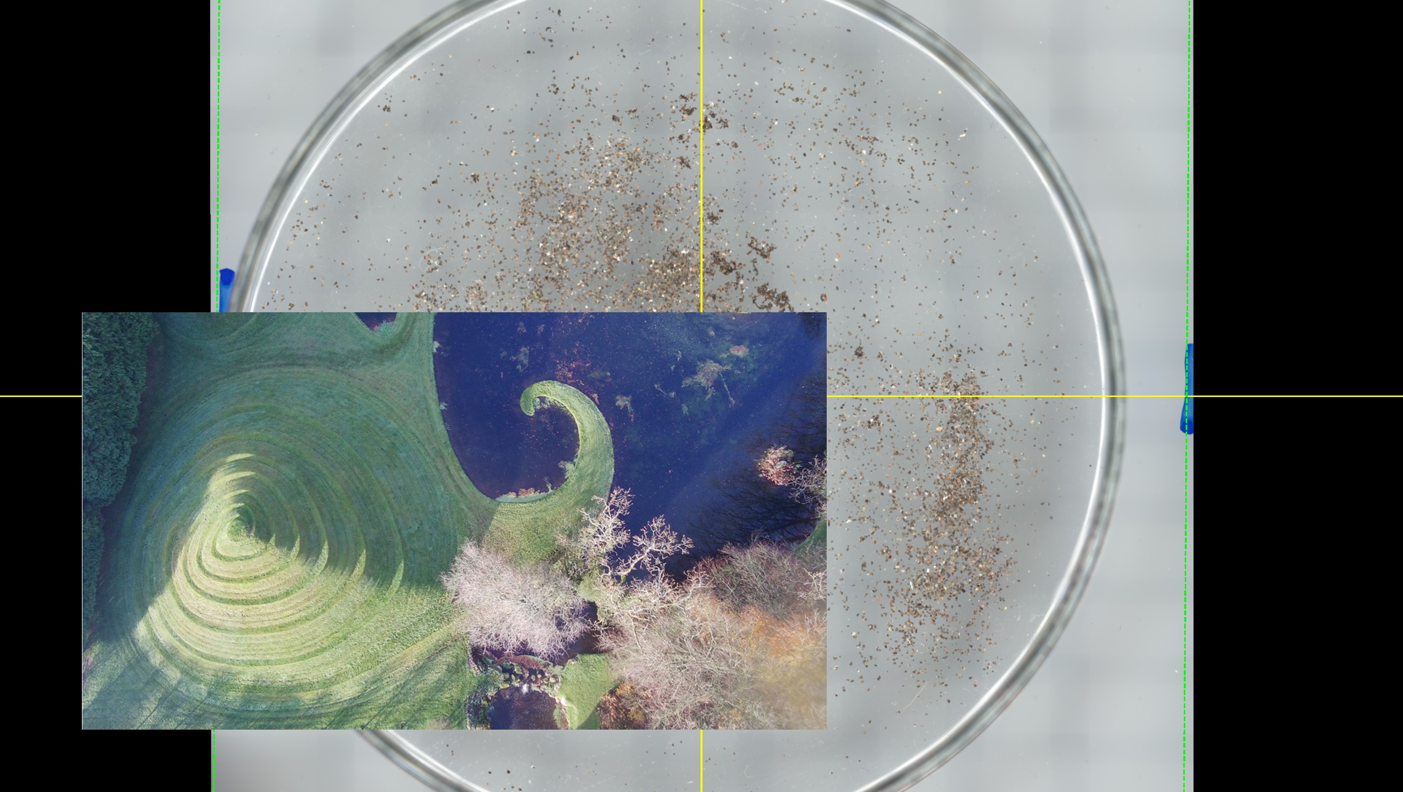  (Sonia Leimer: Cosmic Dust 1)