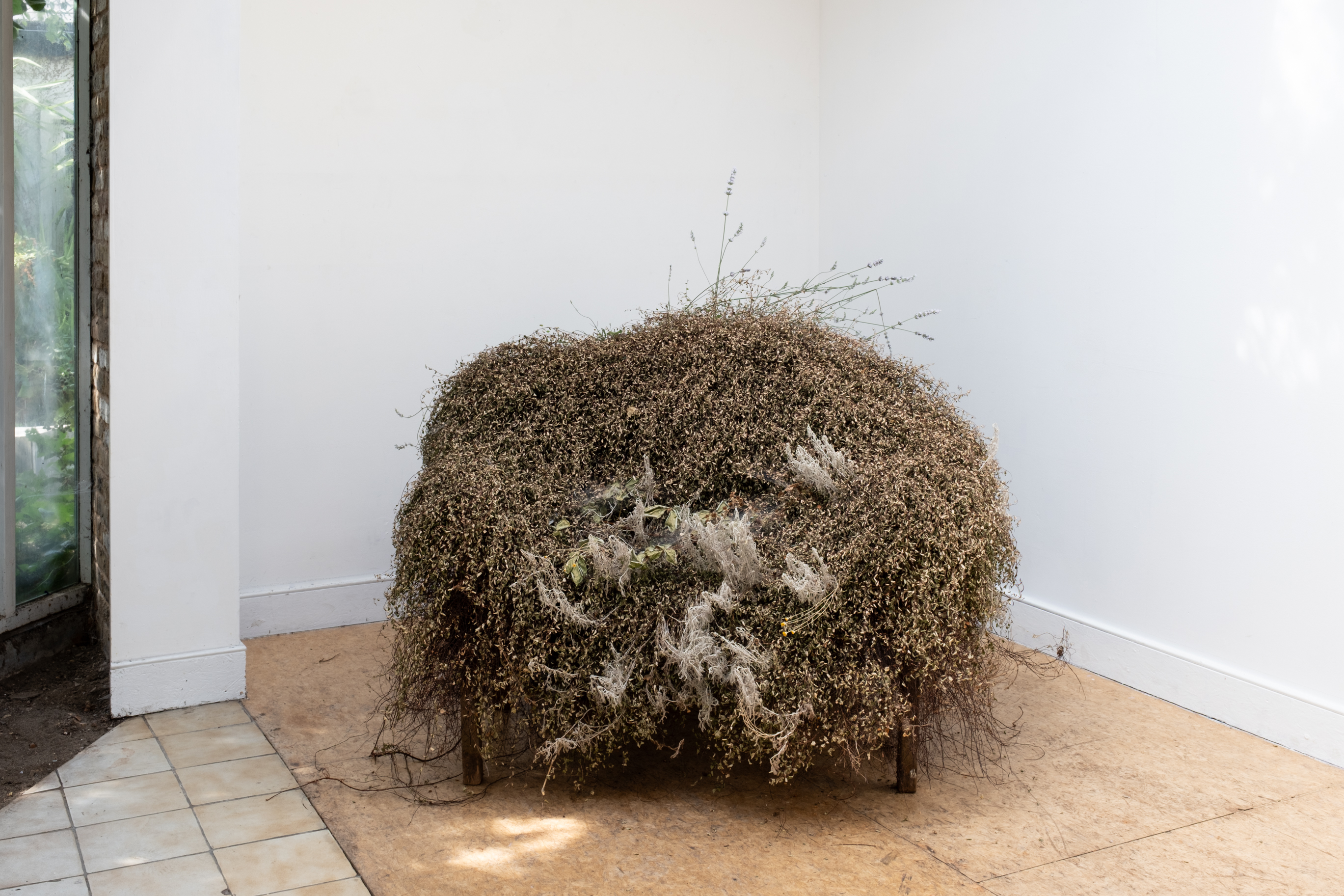 Bench, 2026 ( DANA MUNRO: 21)