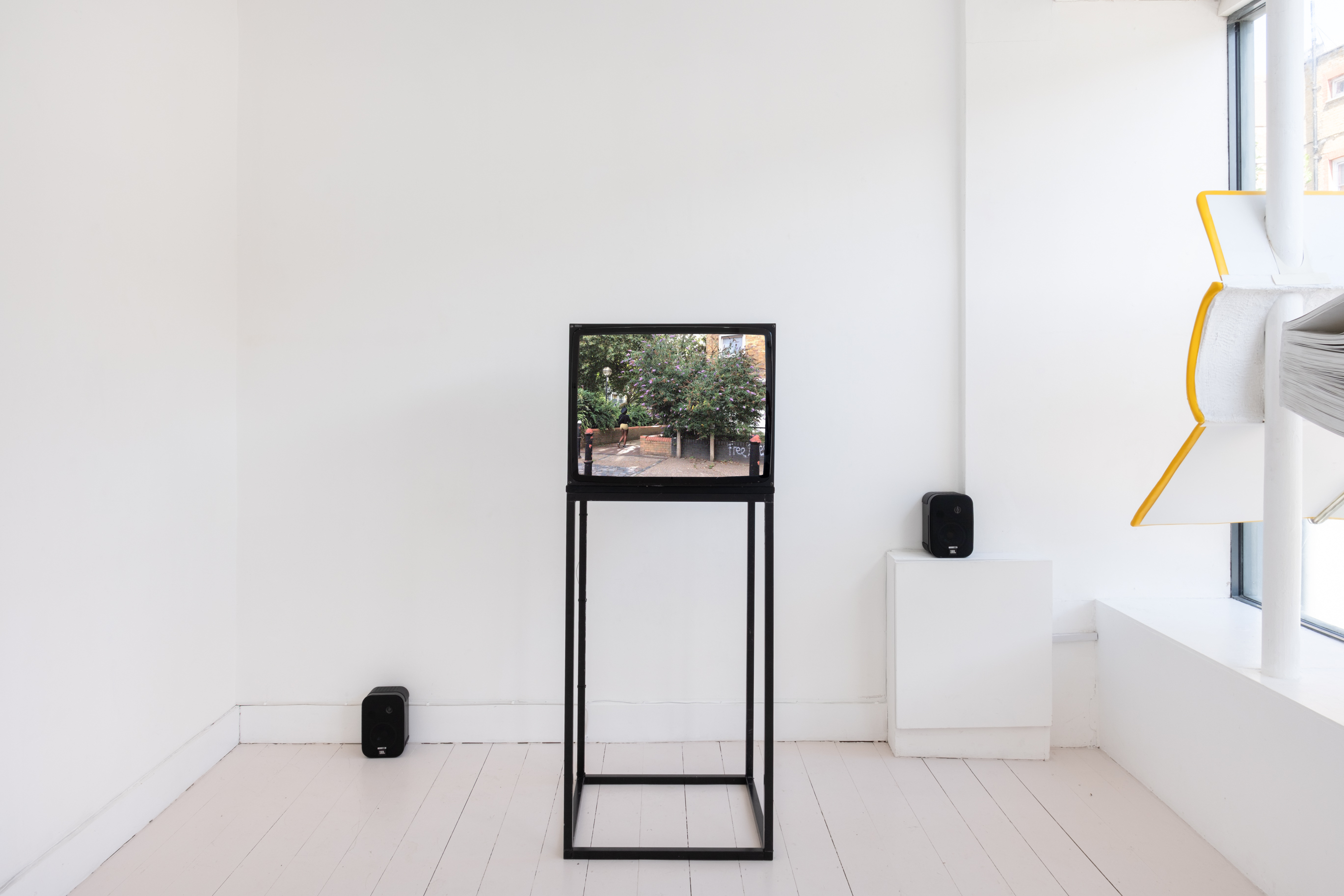Purple (2 of 2), 2024–26, video, 12 min  ( DANA MUNRO: 28)